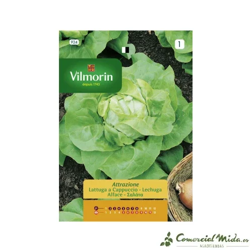 Semillas de Lechuga Atracción 7gr VILMORIN