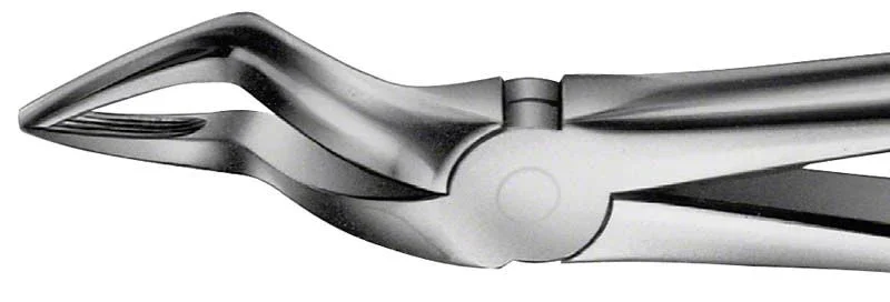 ANATOMICA Zahnzange Figur 51 für OK Wurzeln aus Edelstahl