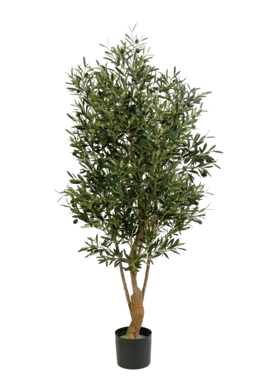 Künstlicher Olivenbaum - Ian, 170 cm, Kunstbaum von aplanta, mit Echtholzstamm, in Natur, für drinnen