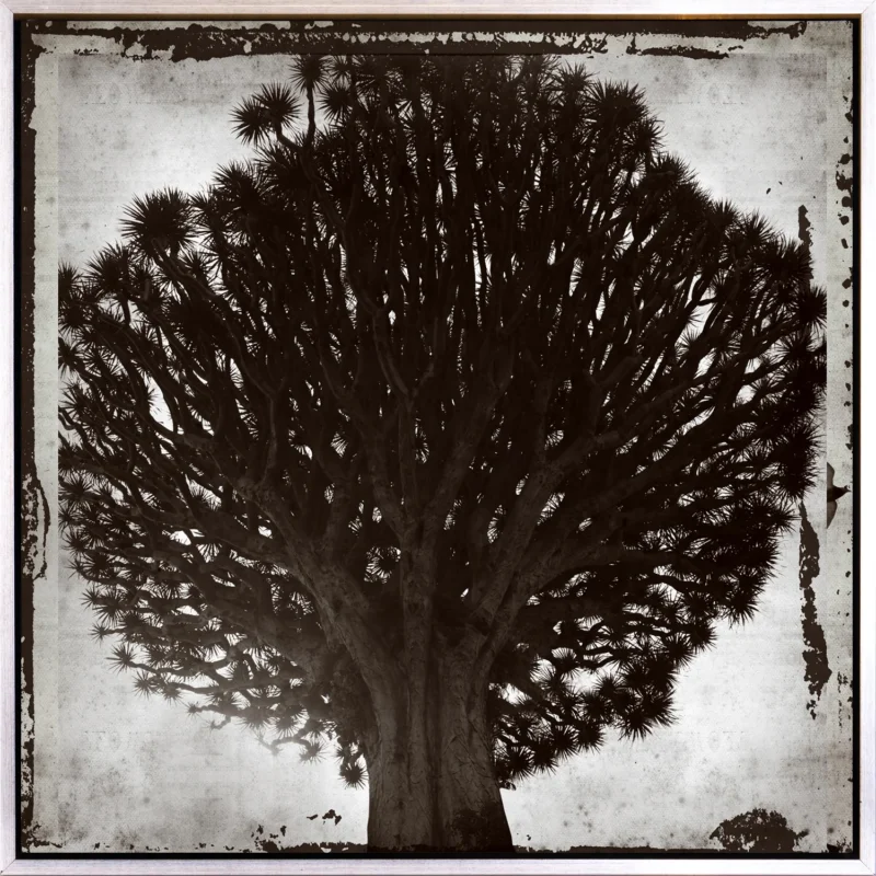 Leinwandbild mit Schattenfugenrahmen - Lignum 50x50cm