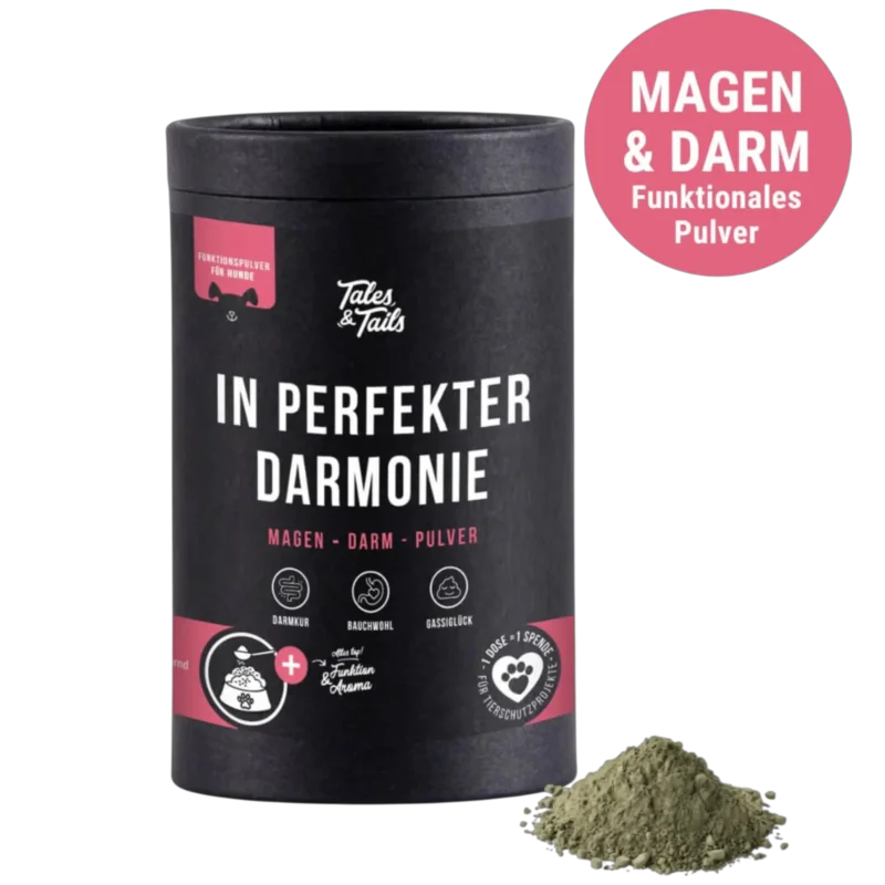 Retter-Produkt #5 - Tales & Tails Dog – In perfekter Darmonie