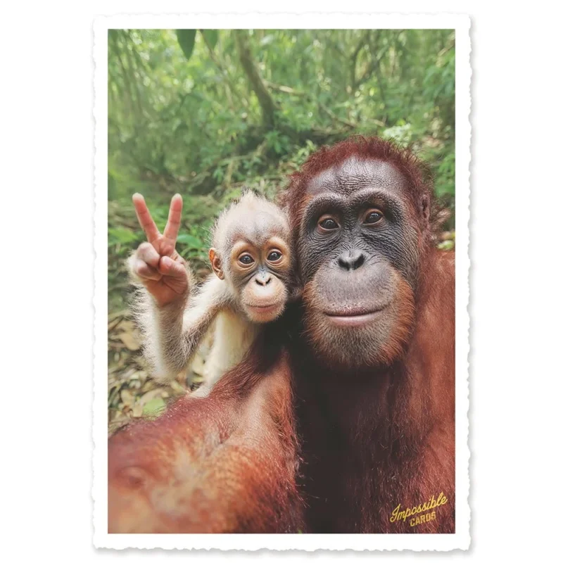 CHI-IC261 - chic.mic - Impossible Card Postkarte - monkeys