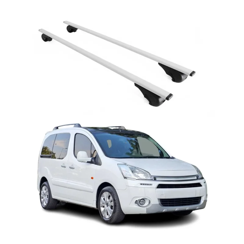 Dachträger Grundträger für Citroen Berlingo 2008-2018 75kg Stahl Silber 2 tlg