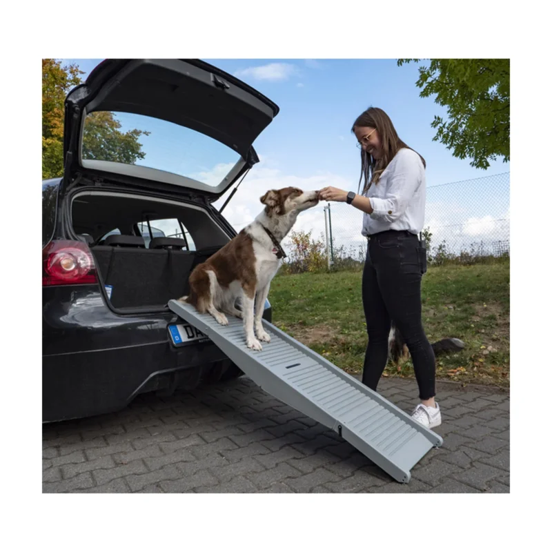 Hunderampe Emma belastbar bis 40kg Tiereinstiegshilfe für PKW Busse Vans Camping – Reimo